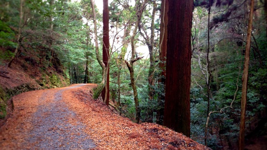 kasugayama2