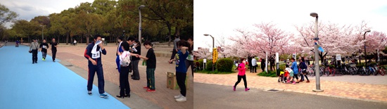 nagaipark