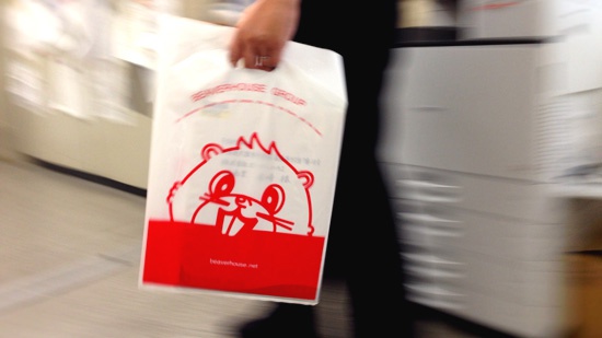 beaverfukuro
