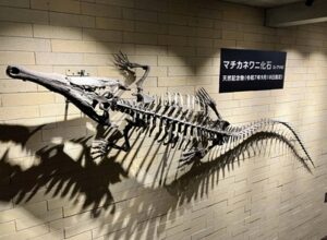 ブログのアイキャッチ画像