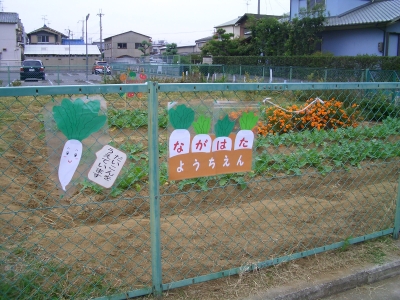 CIMG3521.JPG