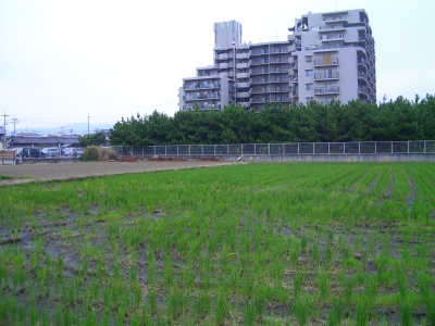 CIMG3526.JPG