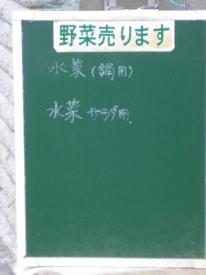 CIMG3523.JPG