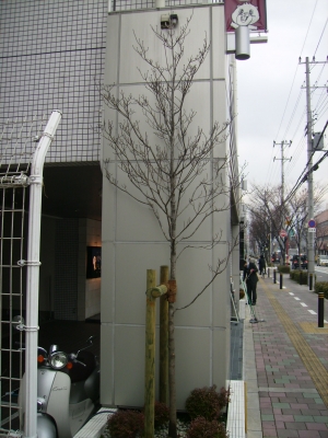 P2250034.JPG