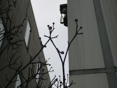 P2250038.JPG